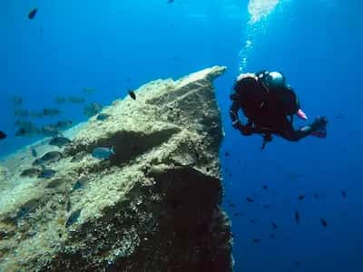 Dive Deep Blue by ABC Diving — photo 4