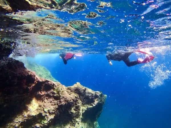 Dive Deep Blue by ABC Diving — photo 5