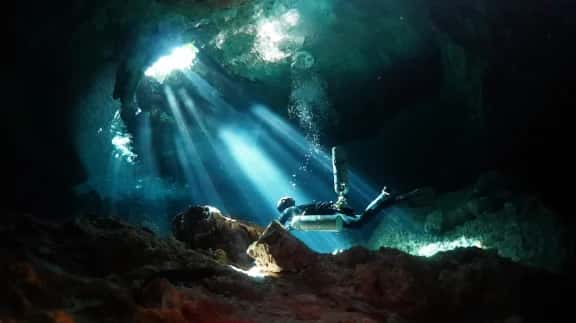 Dive Dominicana — photo 4