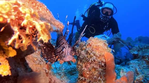 Dive Dominicana — photo 2