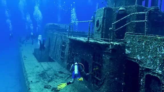 Dive Dominicana — photo 3