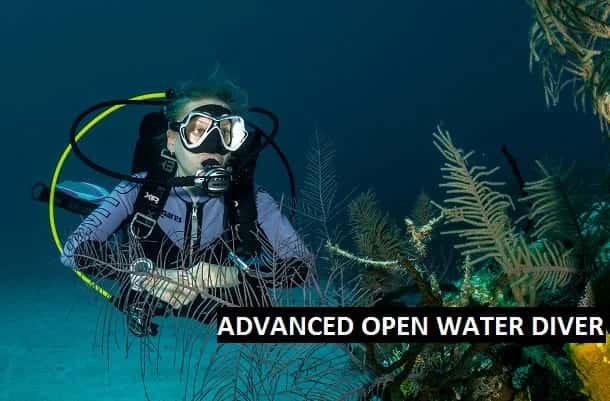 Dive Lovers Tenerife — photo 2