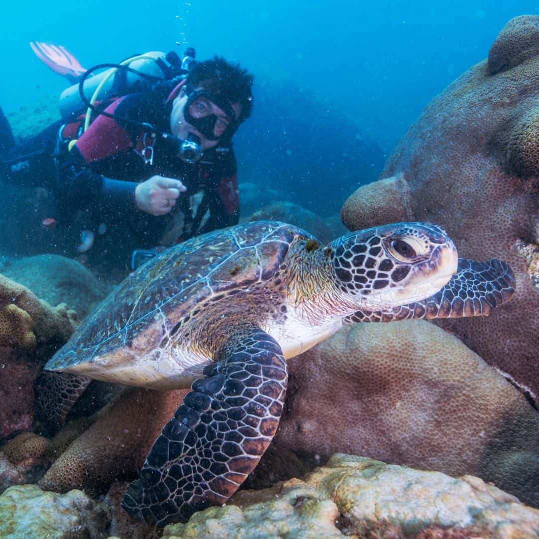 Dive Master — photo 2
