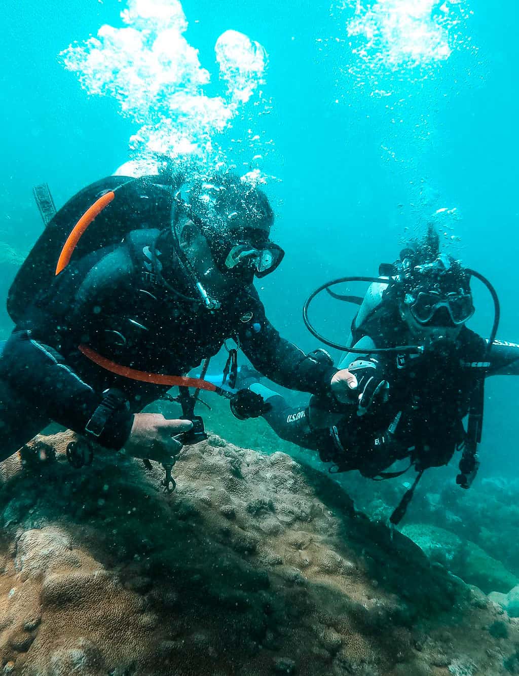 DivePoint Brasil — photo 2