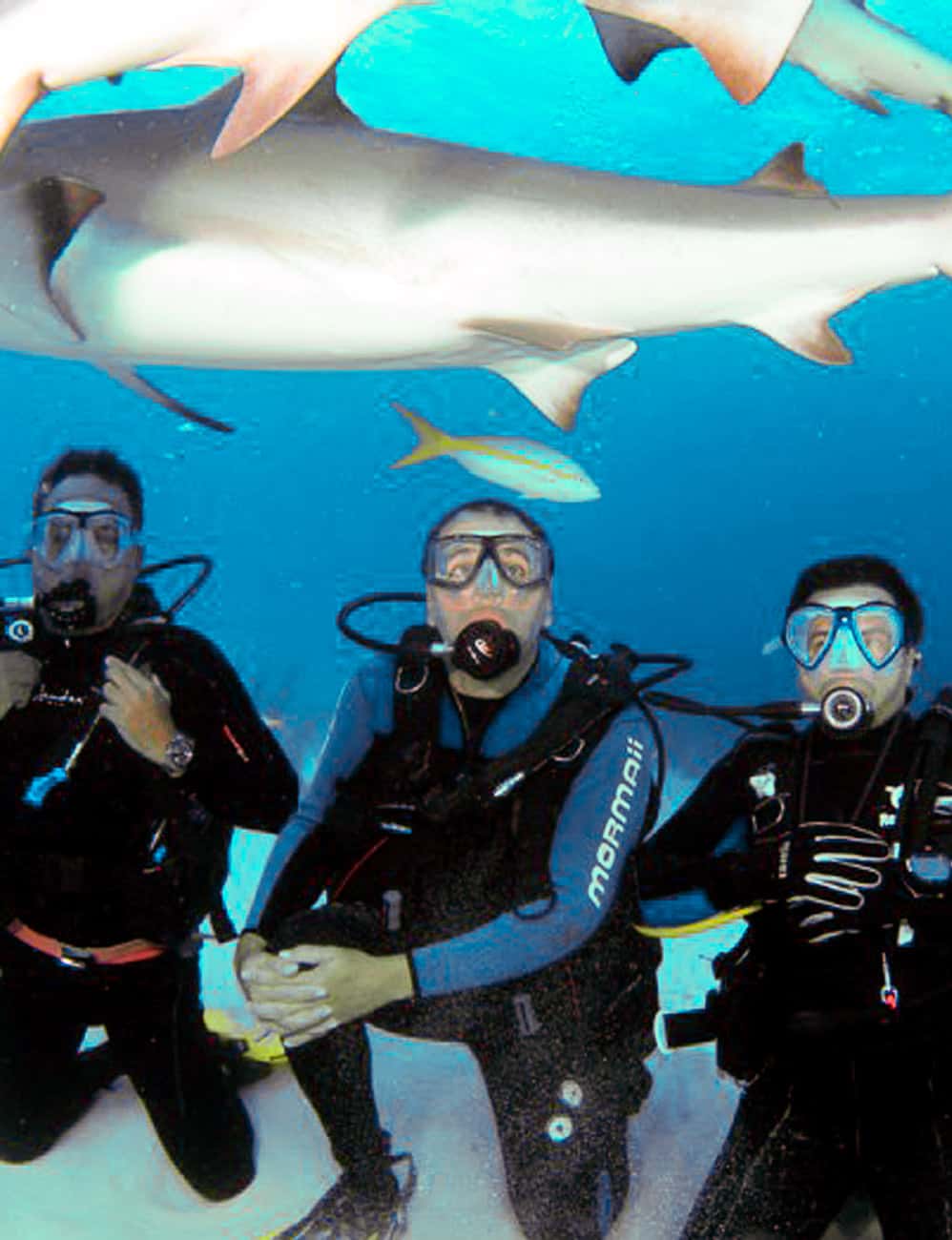 DivePoint Brasil — photo 3