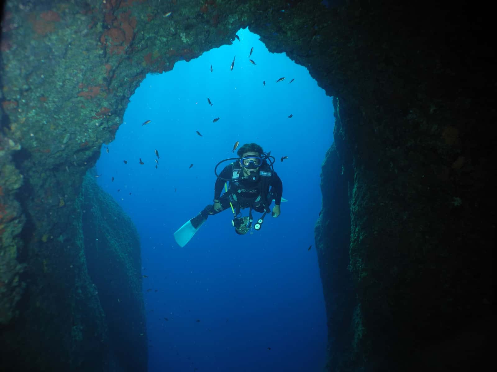 Diver's Paradise Dive Center — photo 2