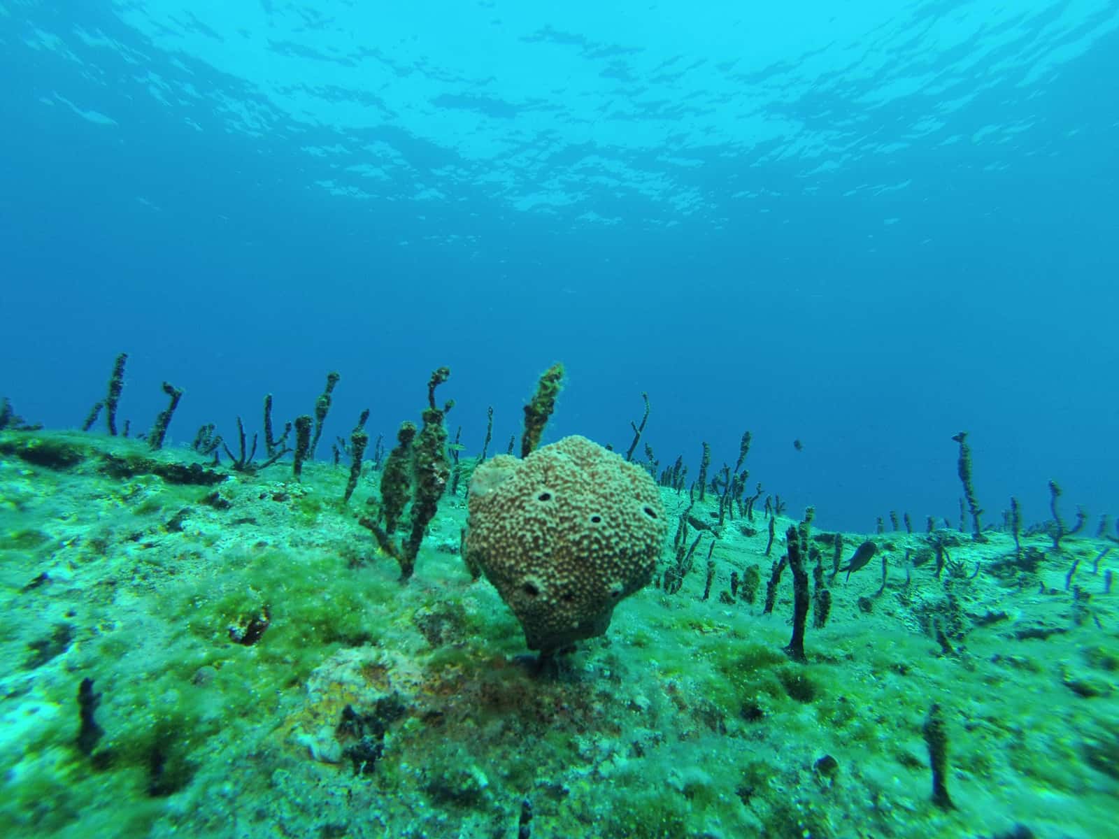 Diver's Paradise Dive Center — photo 3