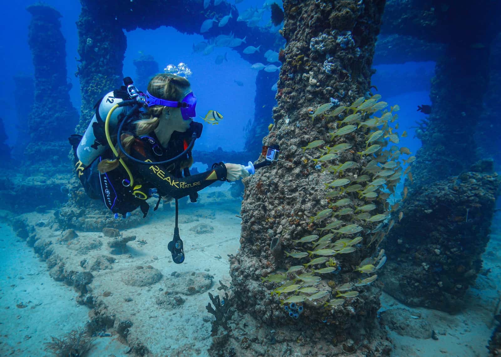 Diver's Paradise Miami