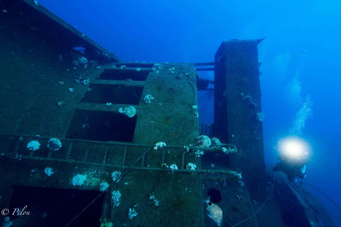 American Diving — photo 2