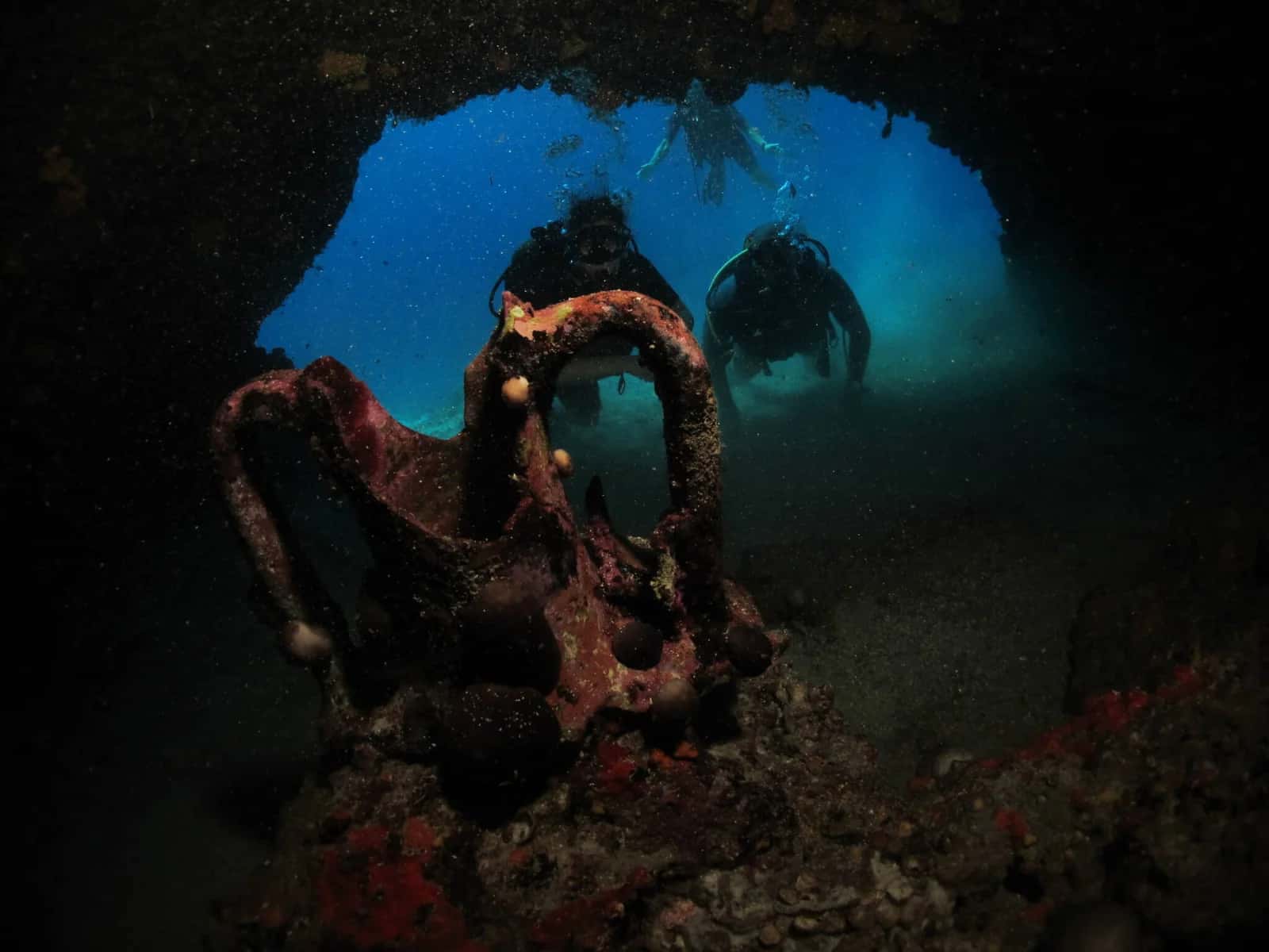 Divespot — photo 4