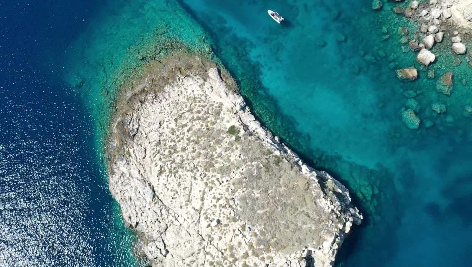Divespot — photo 2