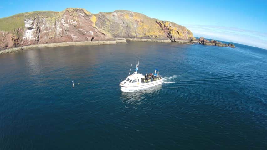 Dive St Abbs — photo 2