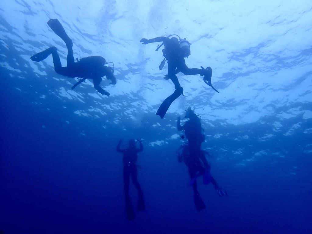 Dive Tulum