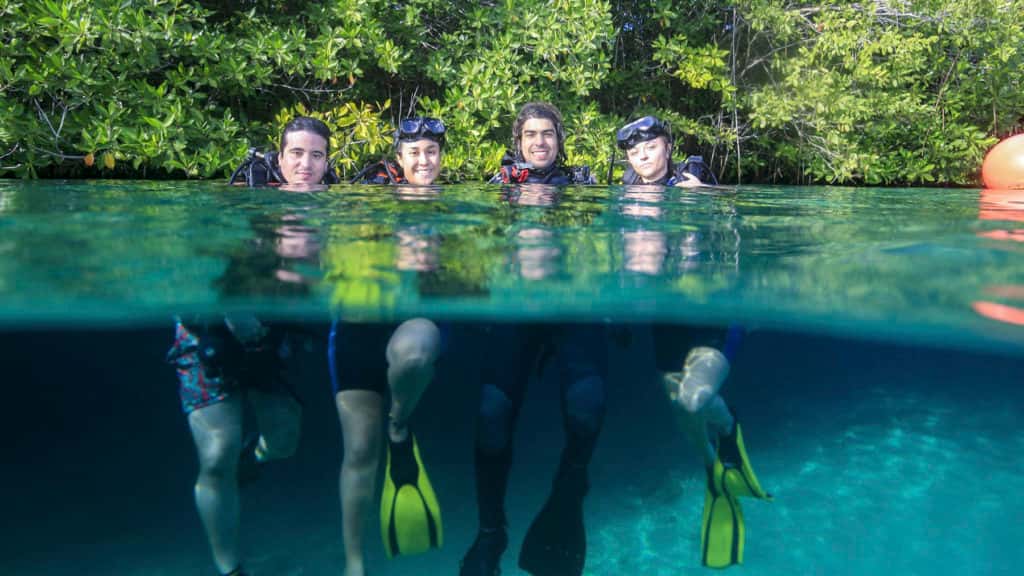 Dive Tulum — photo 3