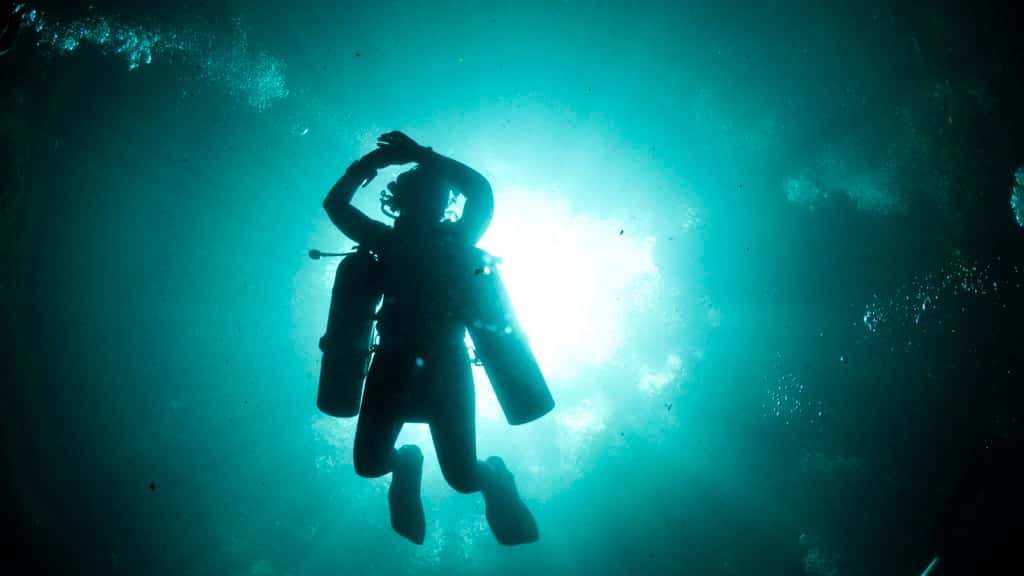 Dive Tulum — photo 2