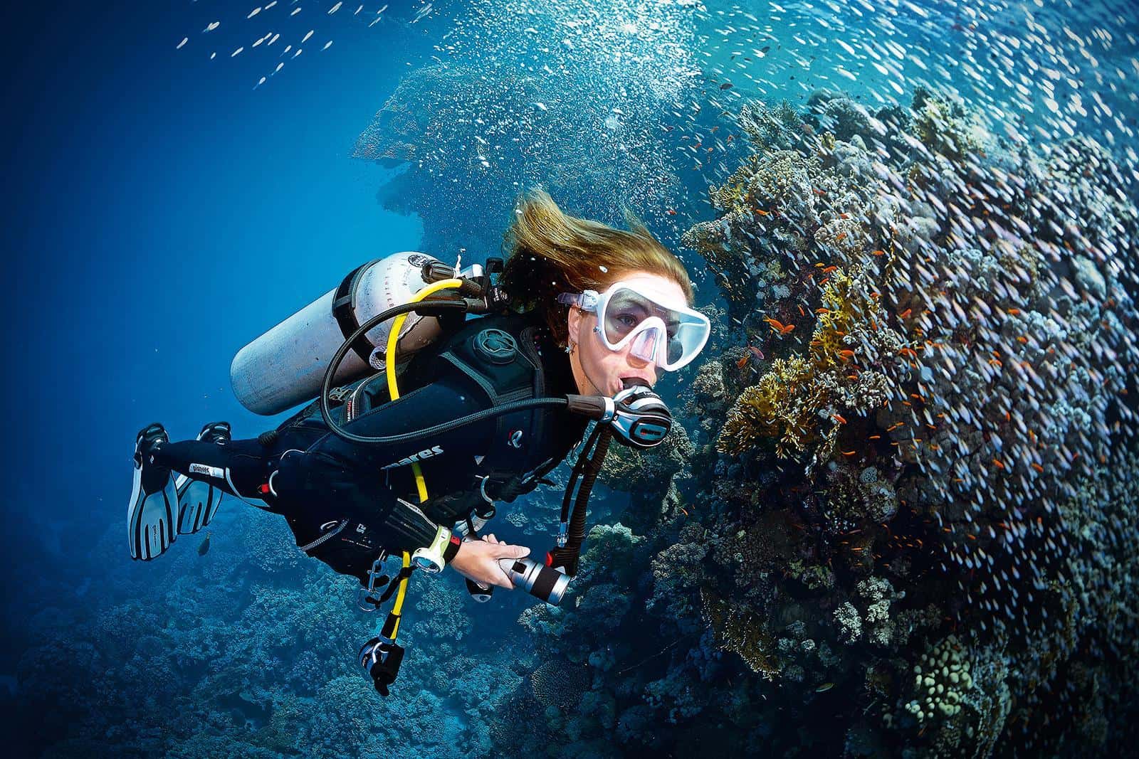 Diving Pula