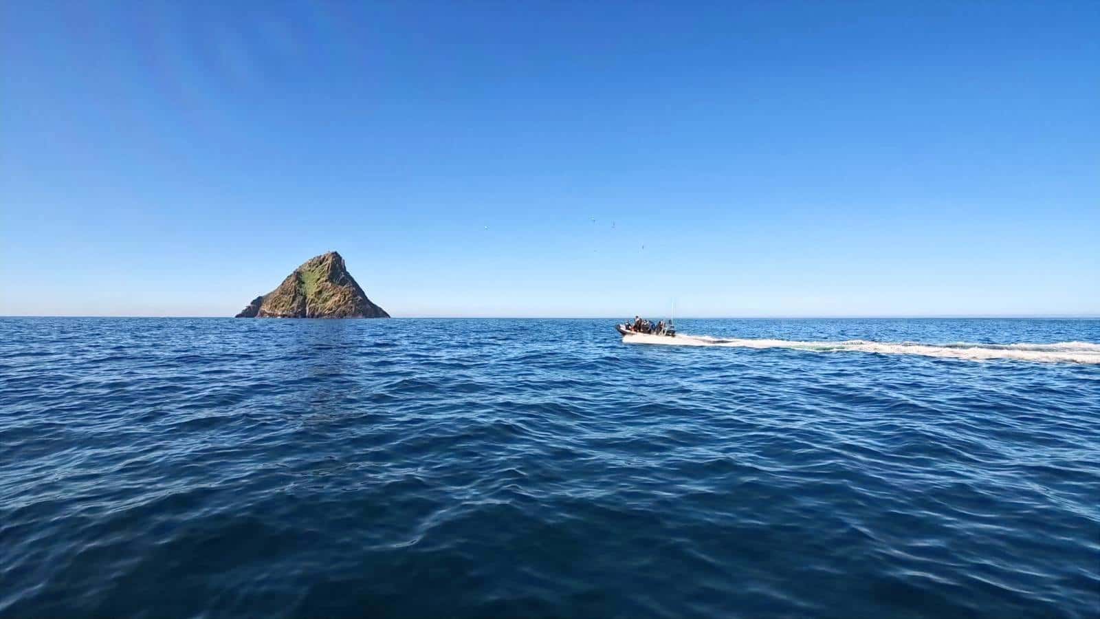 Diving Ireland — photo 3