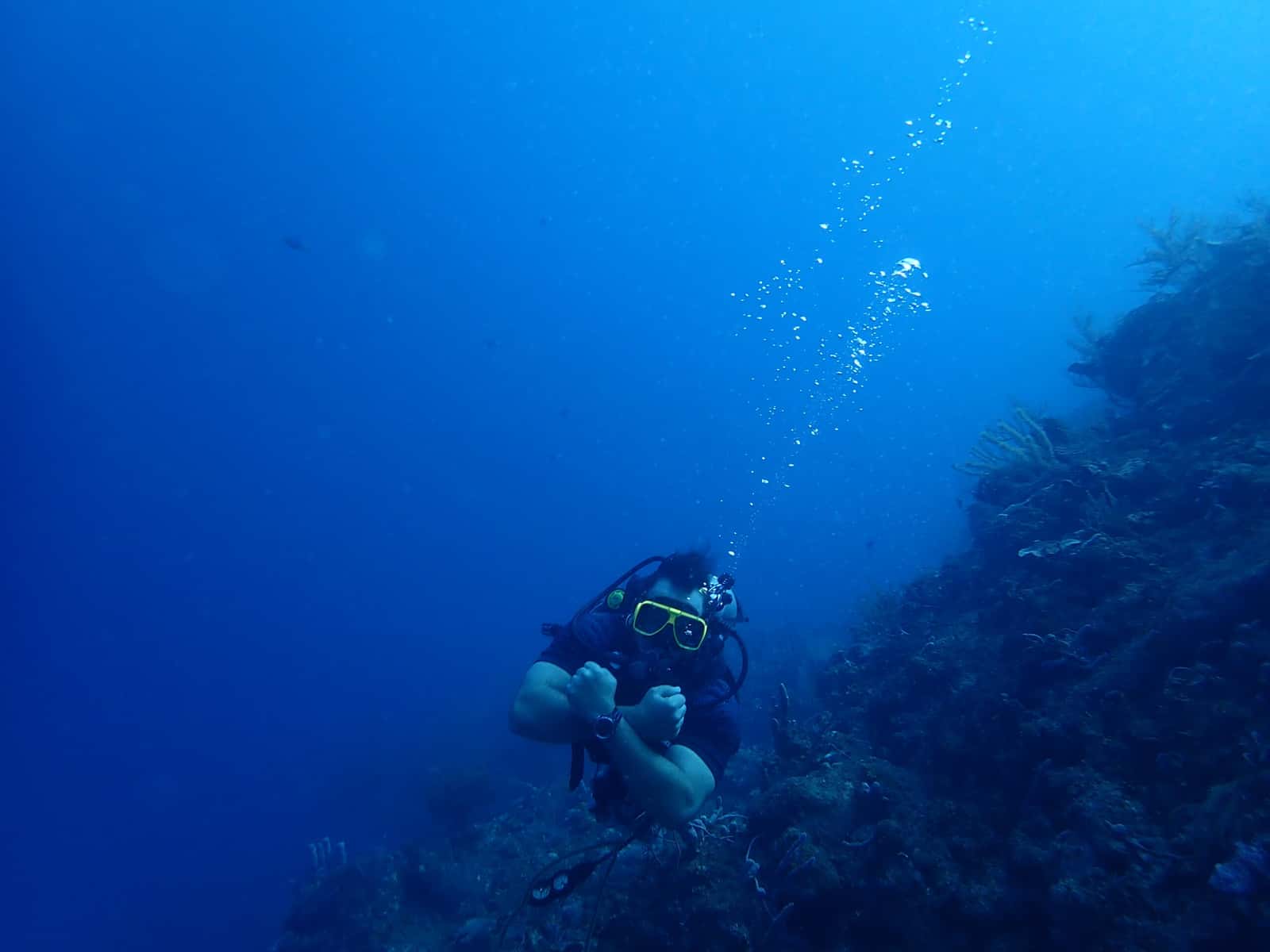 Diving & Adventure Cartagena — photo 3