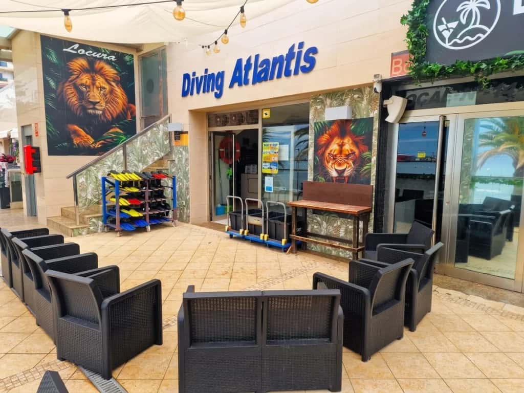 Diving Atlantis — photo 4