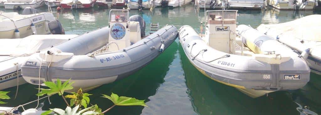 Diving Javea — photo 3