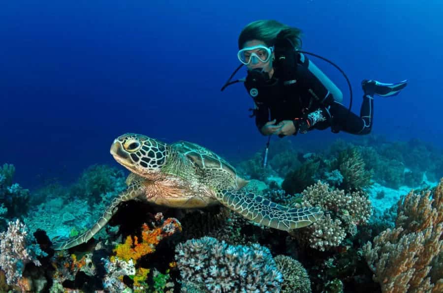 H2O Scuba Academy — photo 1