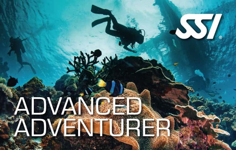 Diving Menorca — photo 3