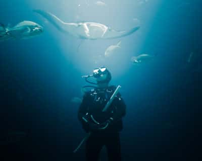 Diving Montenegro — photo 2