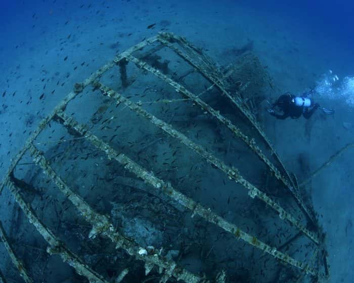 Diving Split