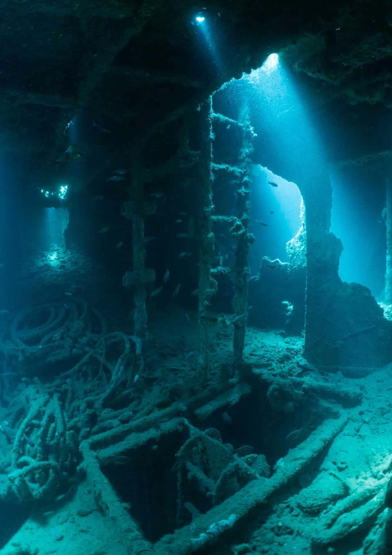 Diving With Lou — photo 4