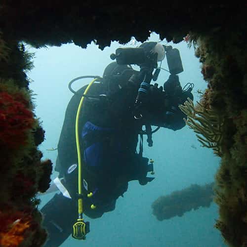 Diving with Nic — photo 2