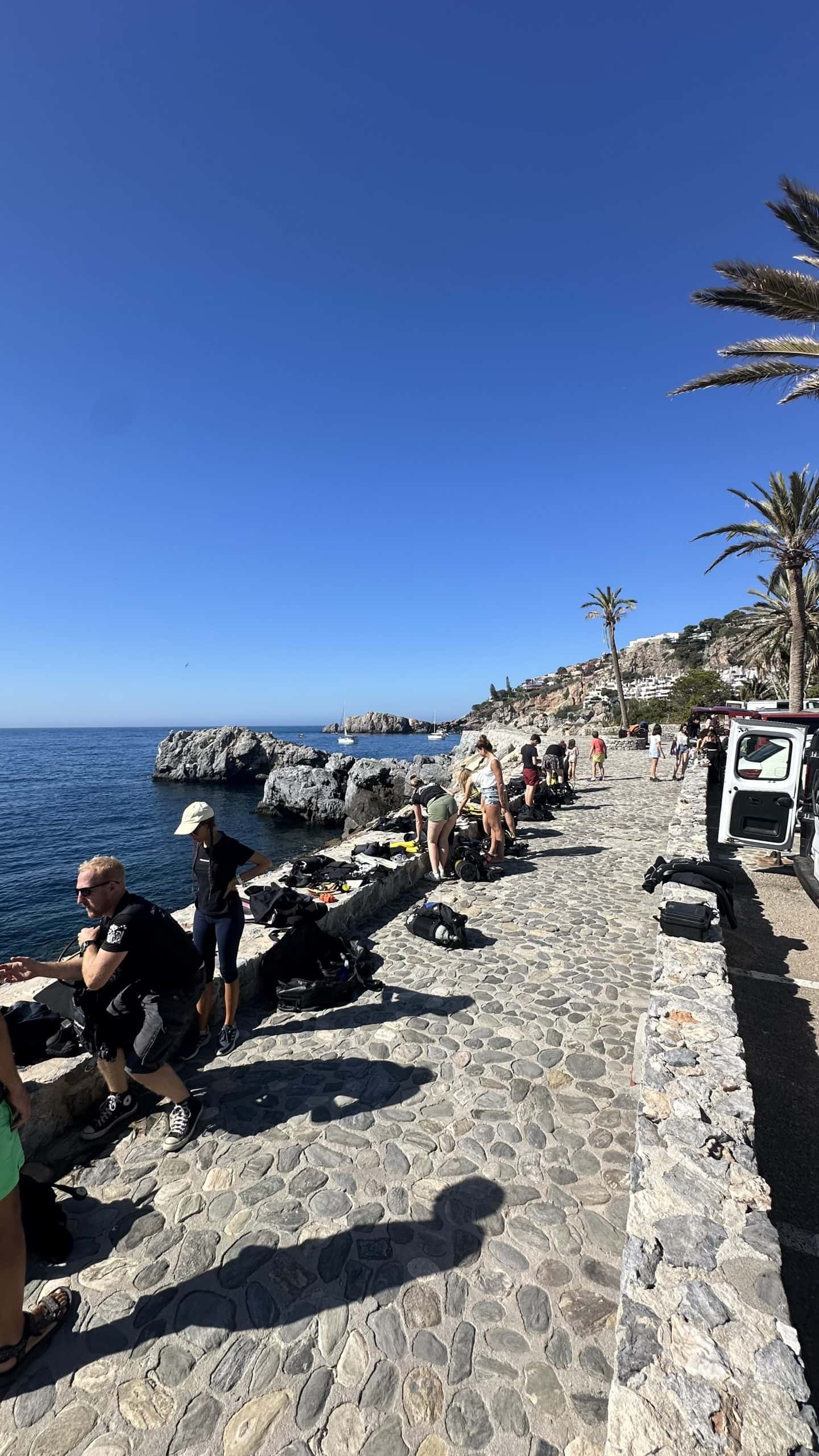 Diving with Nic — photo 3