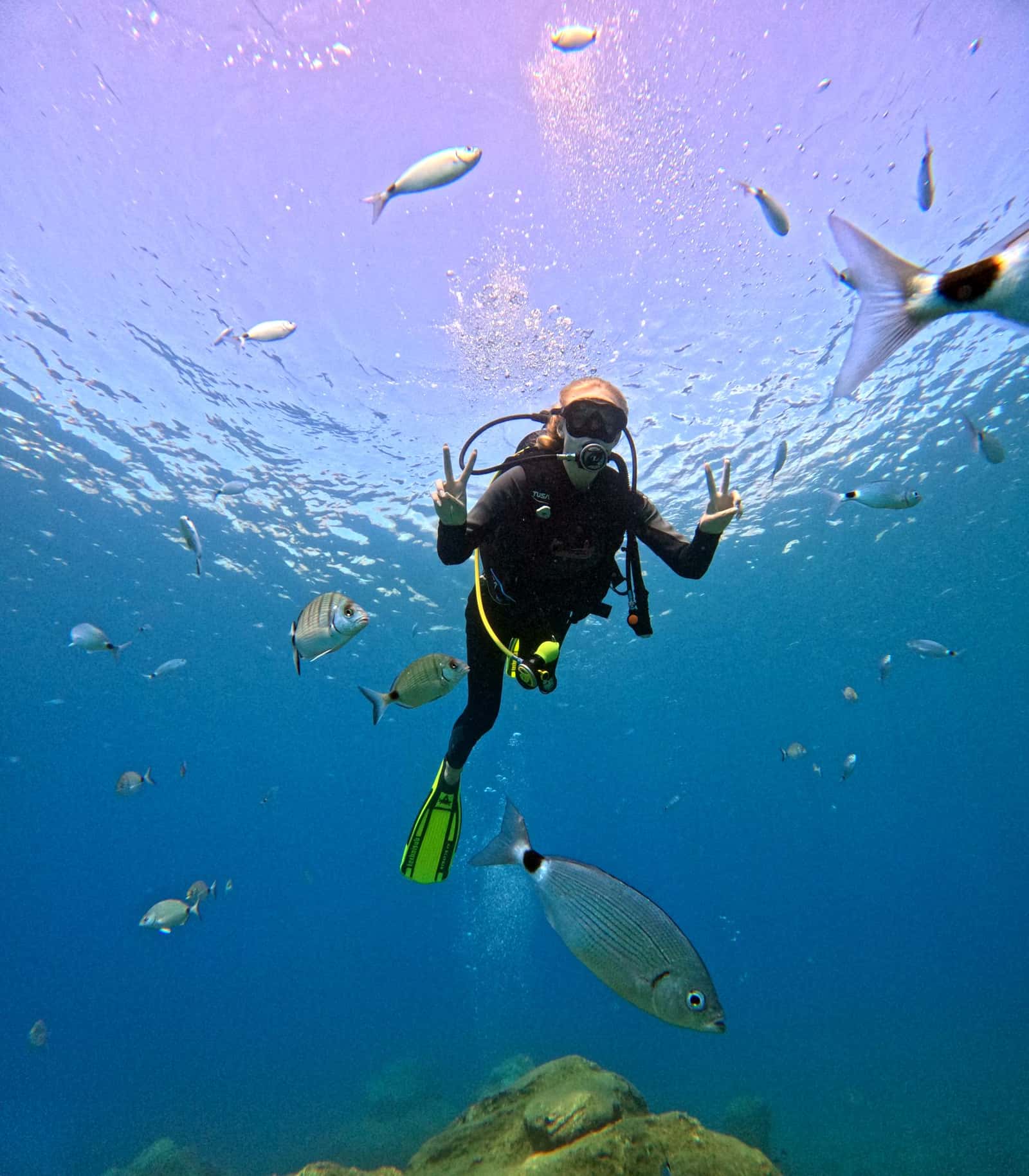 Dolphin Diving Center