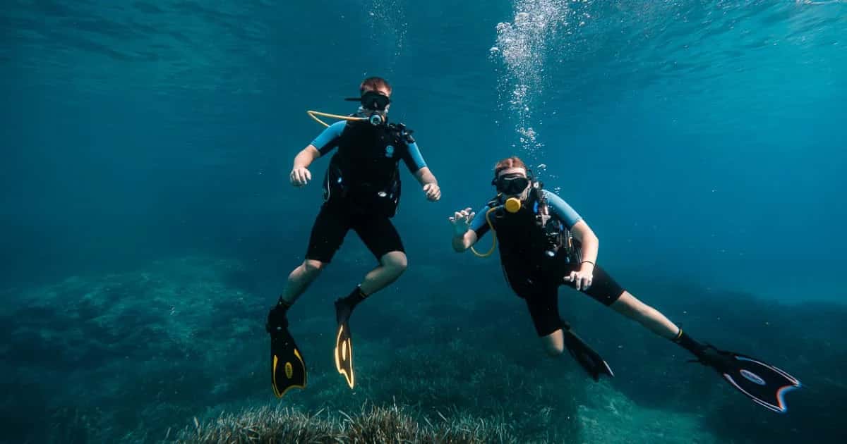 Eco Island Adventure