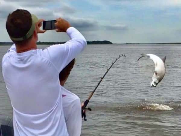 Fish the Georgia Coast — photo 5