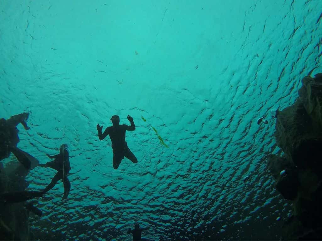 Freedive Iceland — photo 2