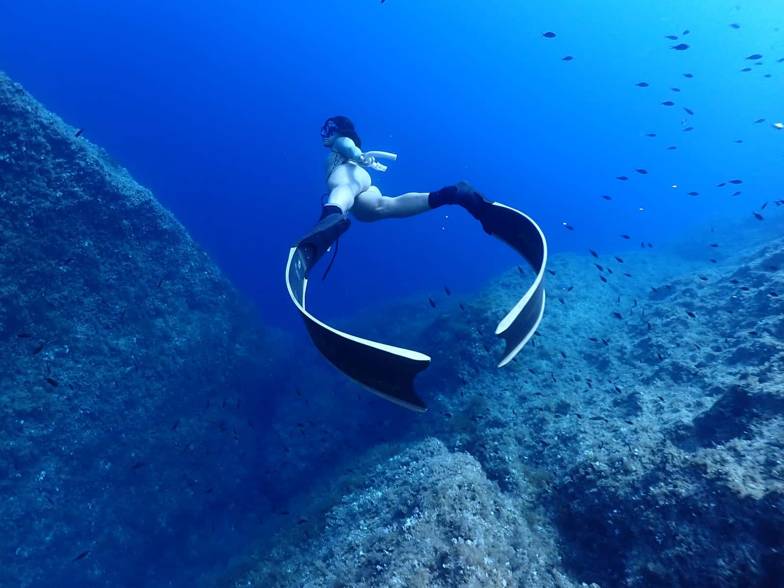 Freediving Malta Academy — photo 2