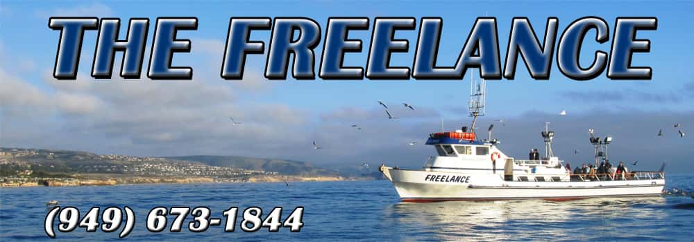 Freelance Ocean Tours — photo 1