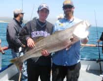 Freelance Ocean Tours — photo 4