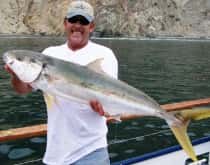 Freelance Ocean Tours — photo 3