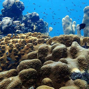 Fundiving Curacao