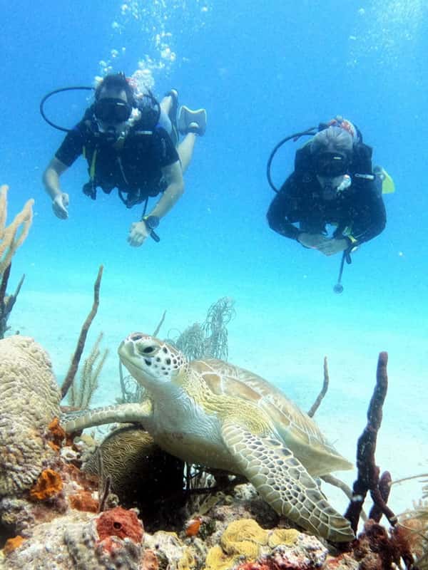 Go Dive Bayahibe — photo 2