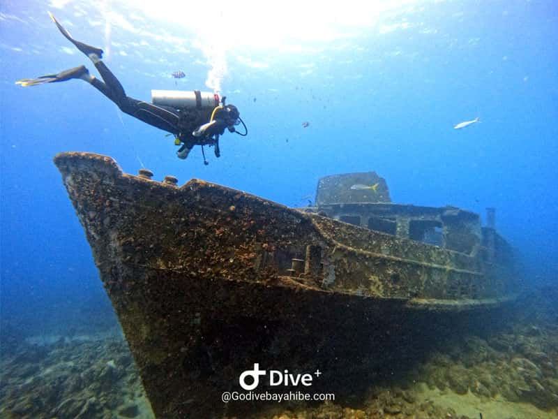Go Dive Bayahibe — photo 4