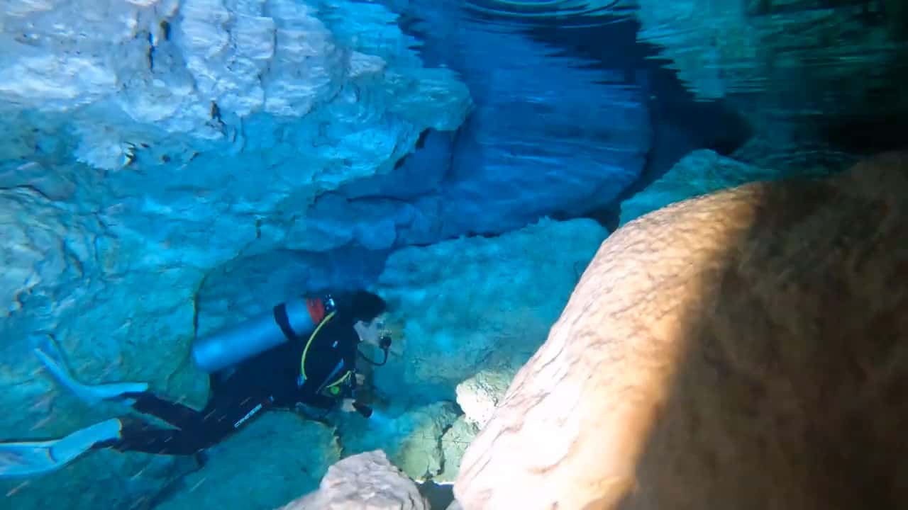 Go Dive Bayahibe — photo 3
