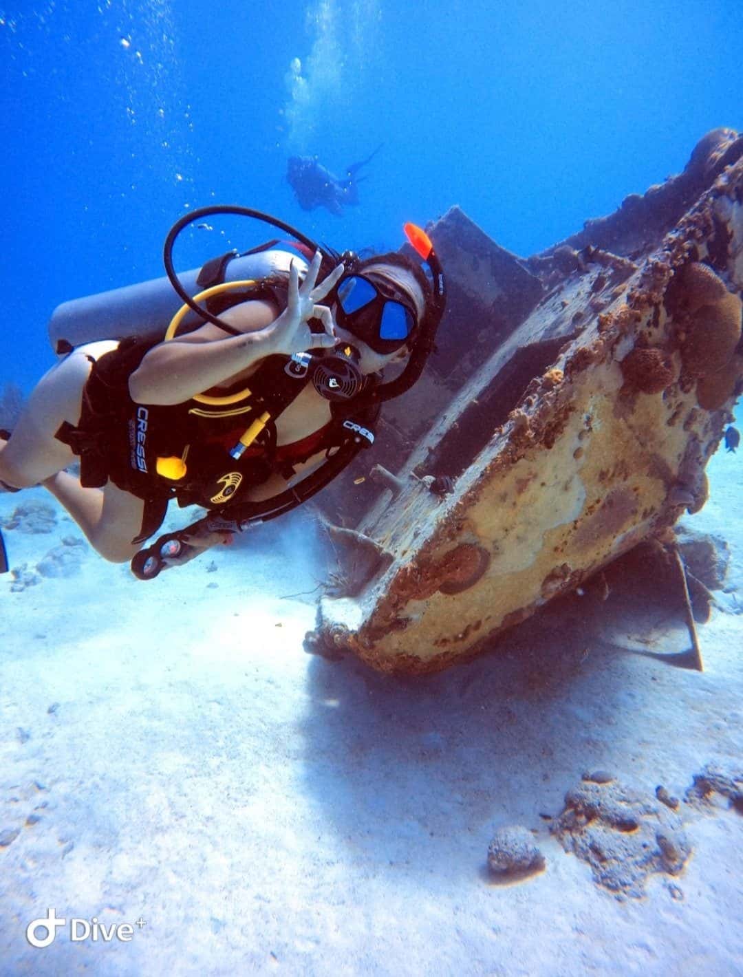 Golden Sea Divers