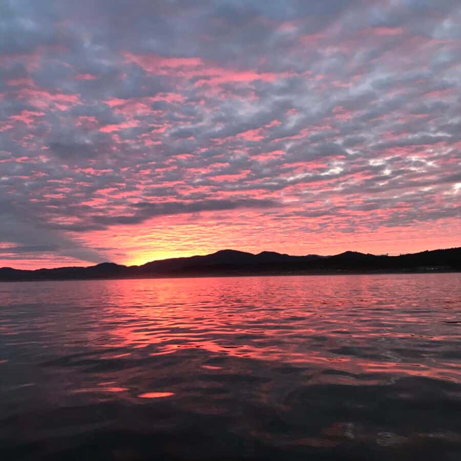 Good Time Charlie Sportfishing — photo 1