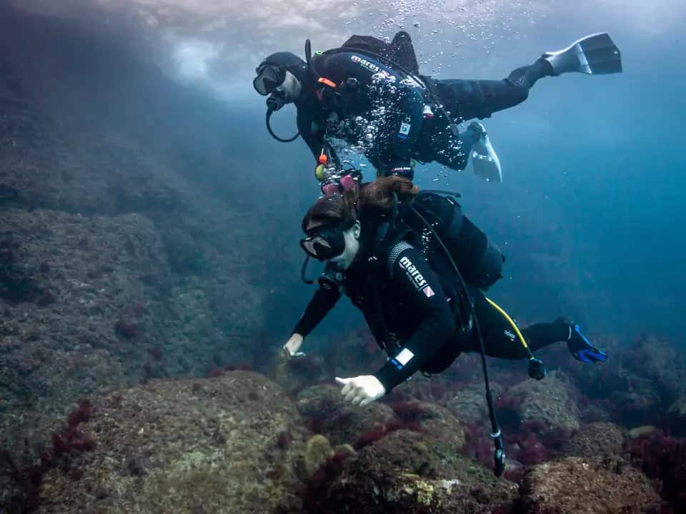 Costa Brava Divers — photo 2
