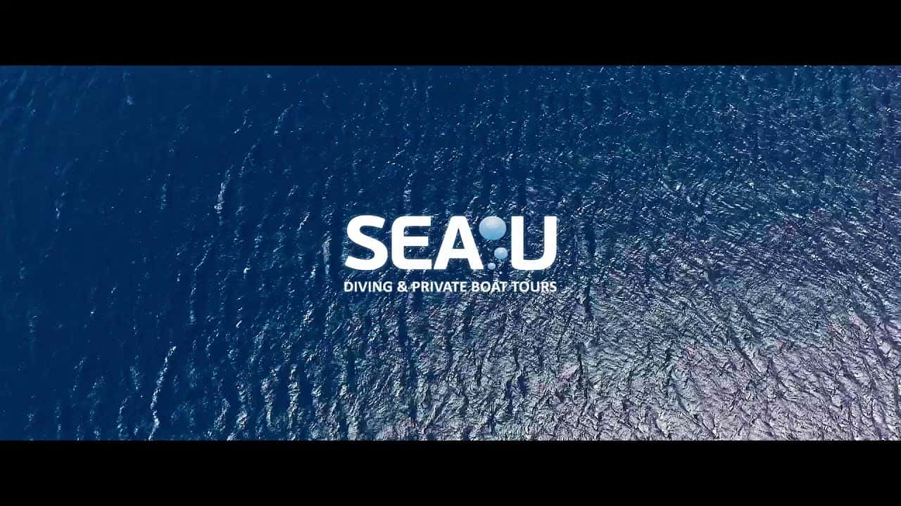 Sea-U — photo 2
