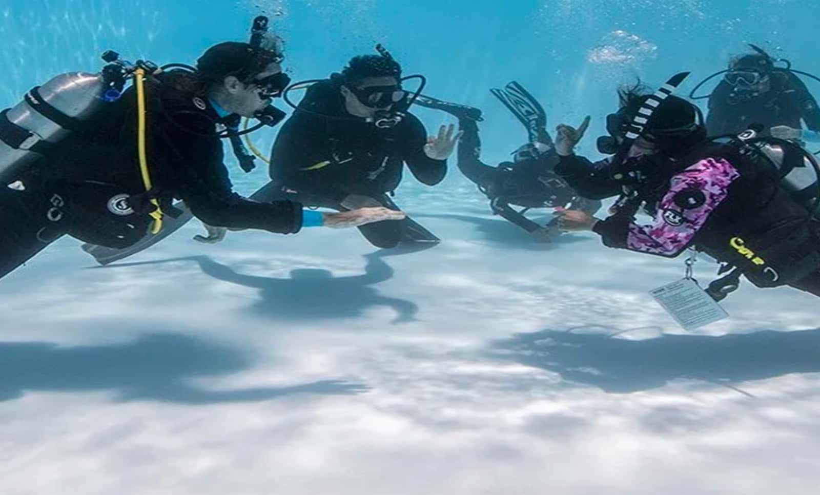 Pinnacles Dive Center — photo 2