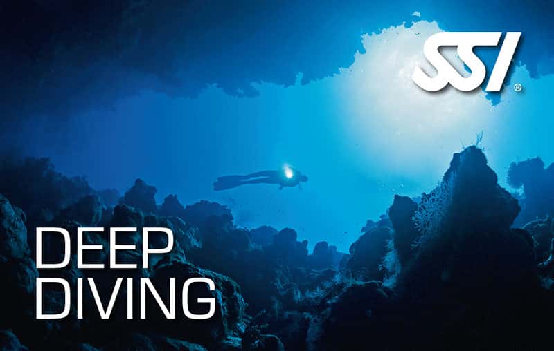 Chesapeake Bay Diving & Swim Center — photo 5