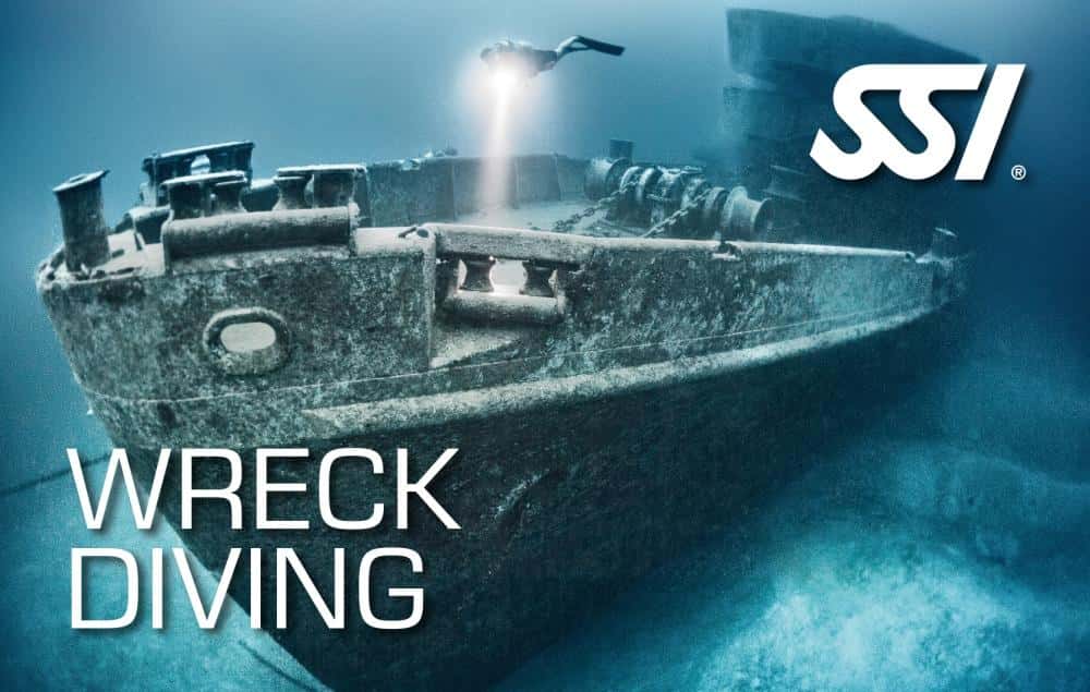 Chesapeake Bay Diving & Swim Center — photo 4
